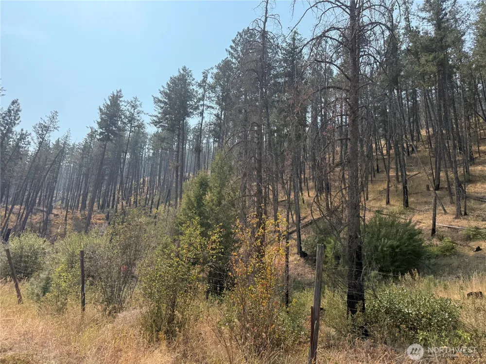 0 Gold Creek Loop Road Carlton, WA 98814