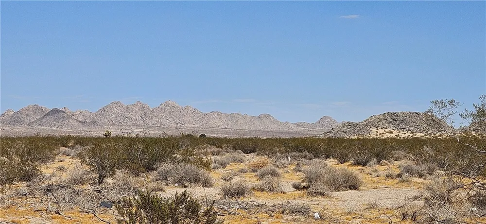 800 Lincoln Rd. Lucerne Valley, CA 92356