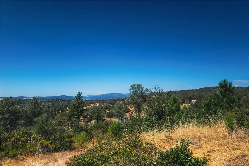 6070 Old Olive Oroville, CA 95966