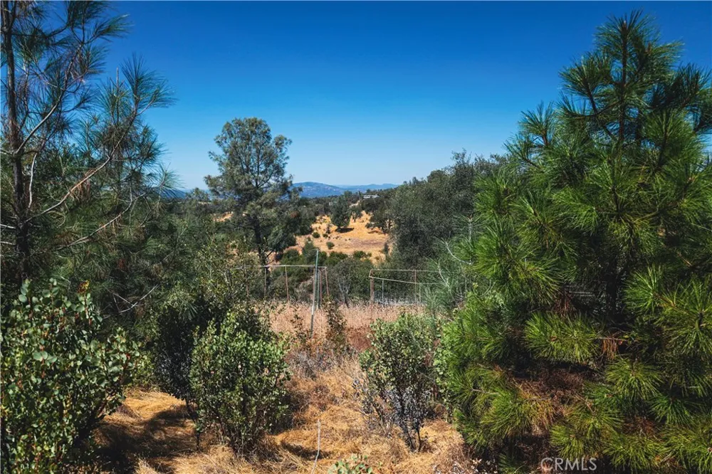 6070 Old Olive Oroville, CA 95966