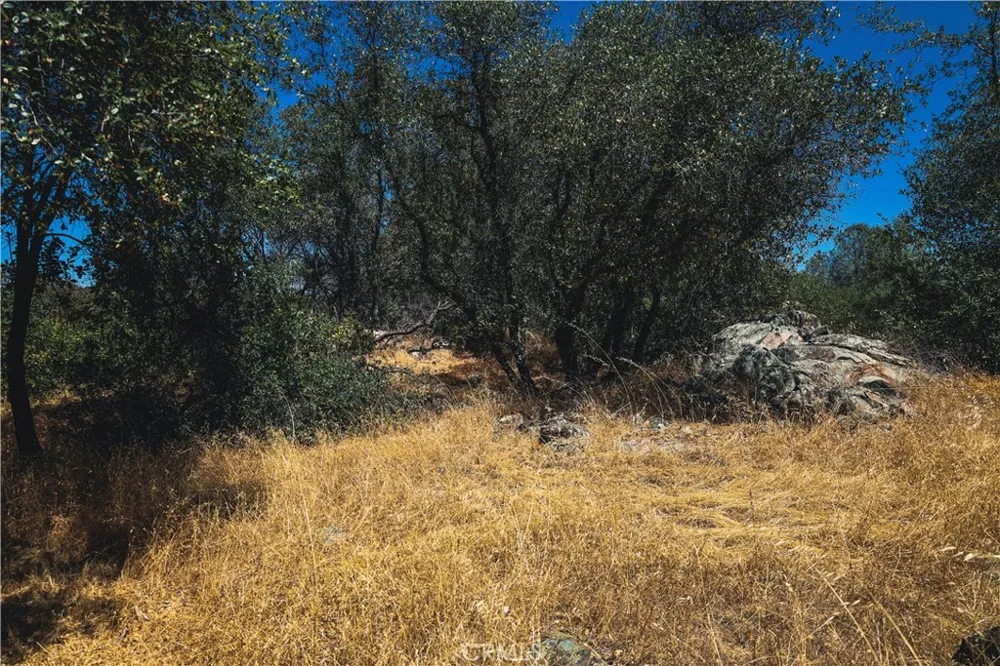 6070 Old Olive Oroville, CA 95966