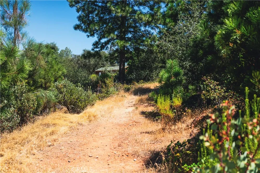 6070 Old Olive Oroville, CA 95966