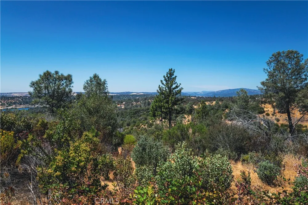 6070 Old Olive Oroville, CA 95966