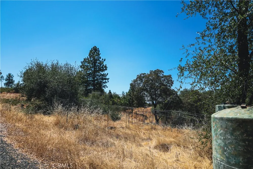 6070 Old Olive Oroville, CA 95966