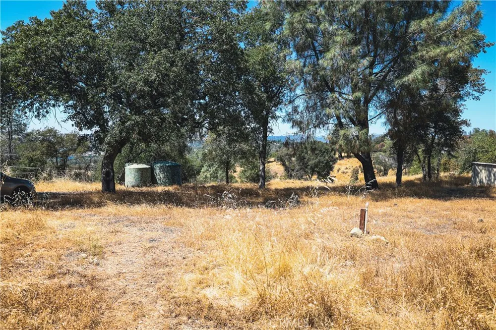 6070 Old Olive Oroville, CA 95966