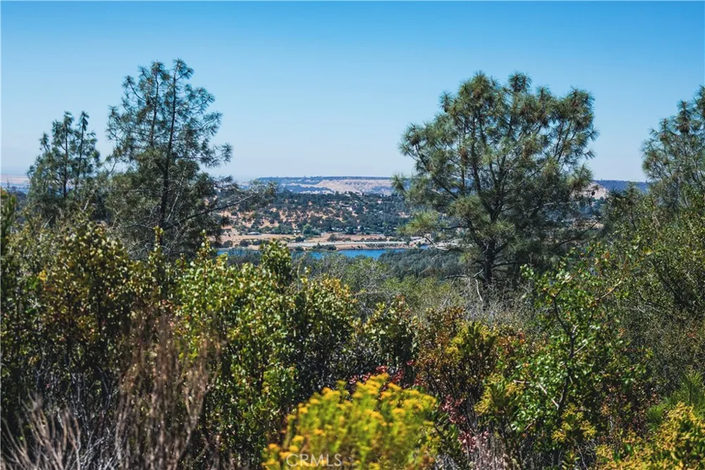 6070 Old Olive Oroville, CA 95966