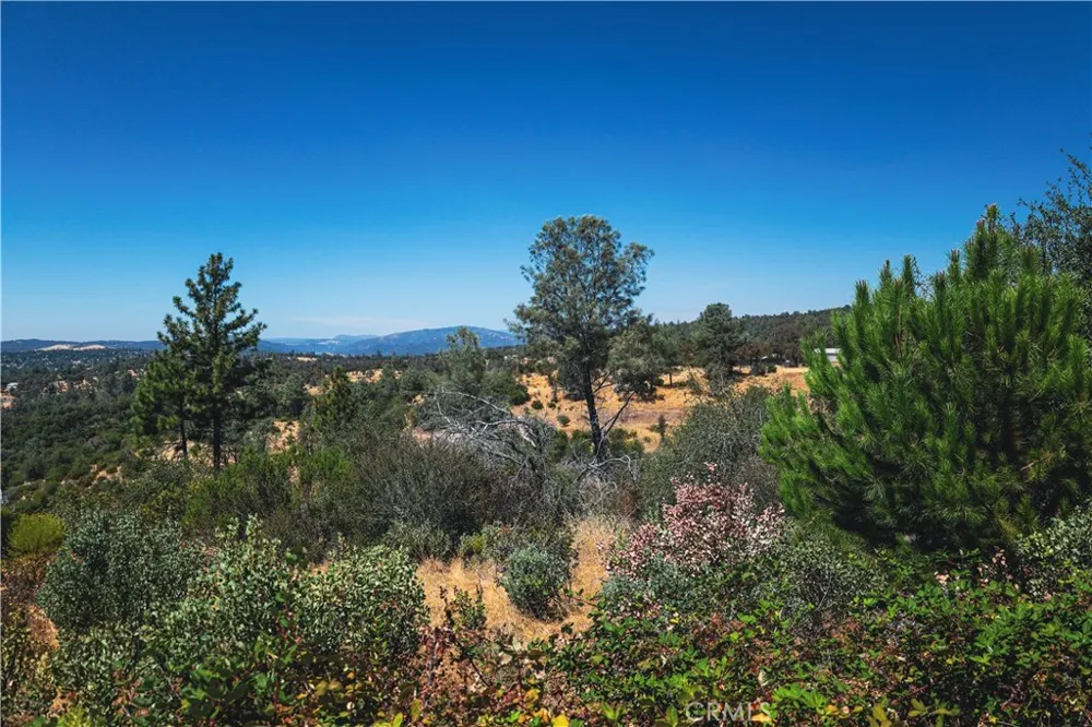 6070 Old Olive Oroville, CA 95966