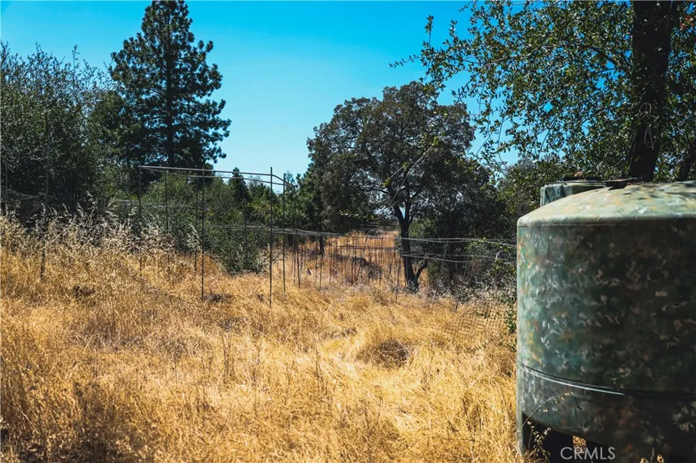 6070 Old Olive Oroville, CA 95966