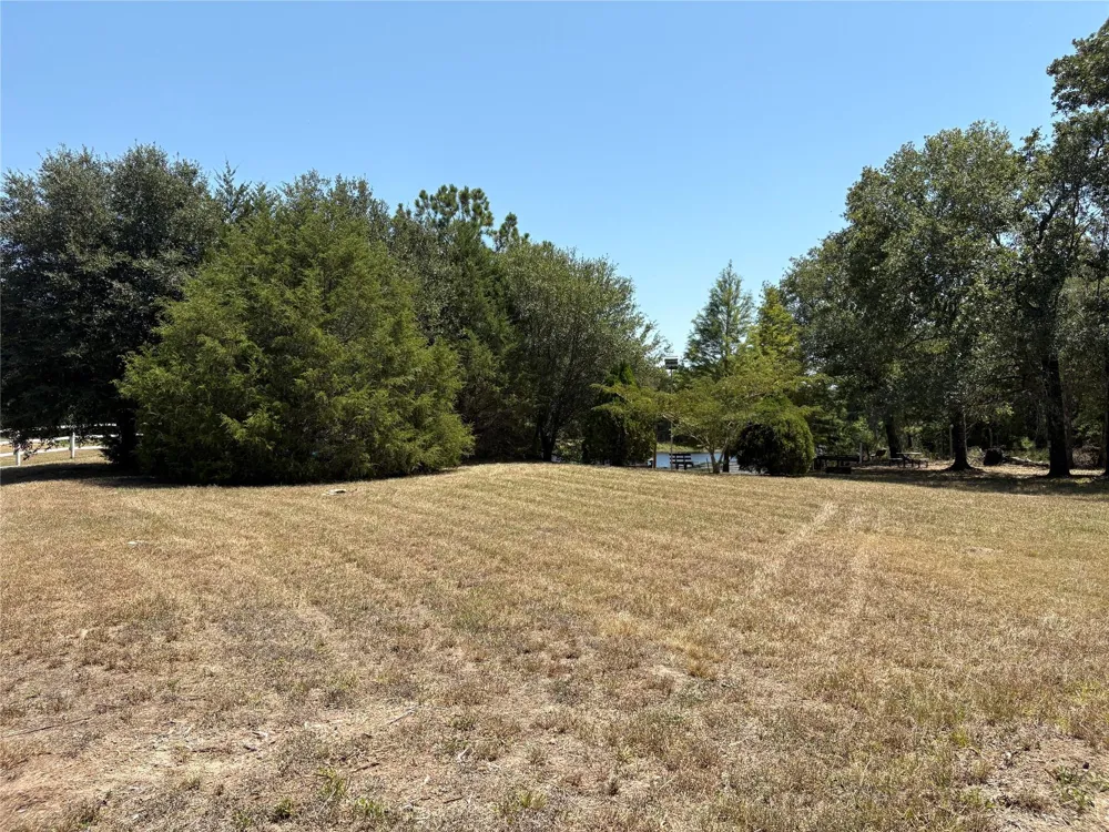 26133 Moose Drive Hempstead, TX 77445