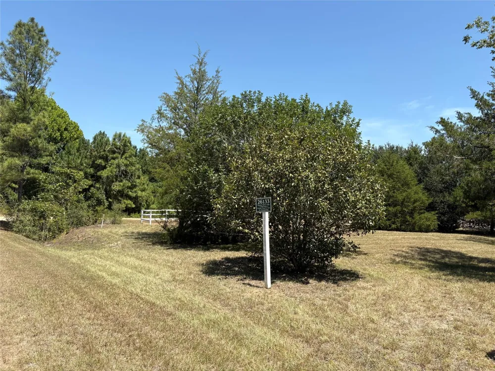26133 Moose Drive Hempstead, TX 77445