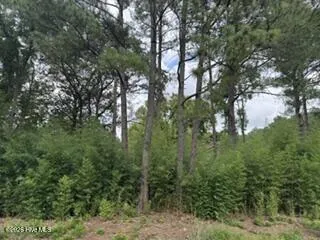 1298 Moores Chapel Road Lillington, NC 27546