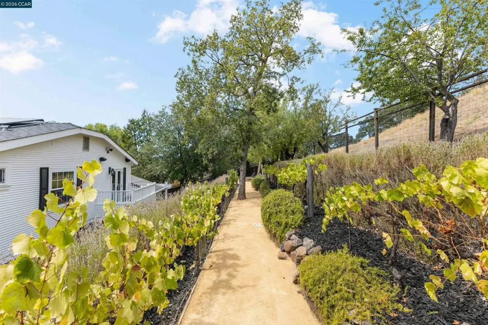 950 Country Lane Walnut Creek, CA 94596