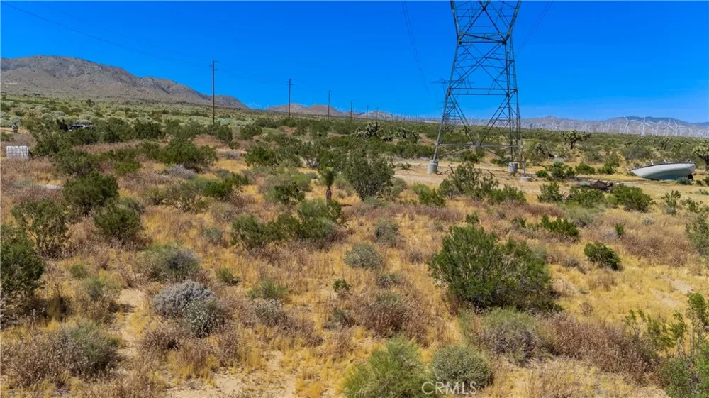 110th Street W Willow Springs, CA 93560