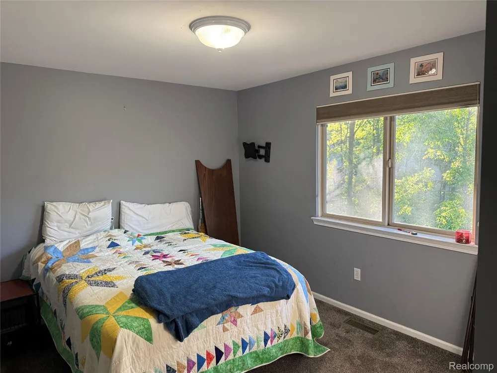 8318 Mill Pointe Court Atlas Township, MI 48438