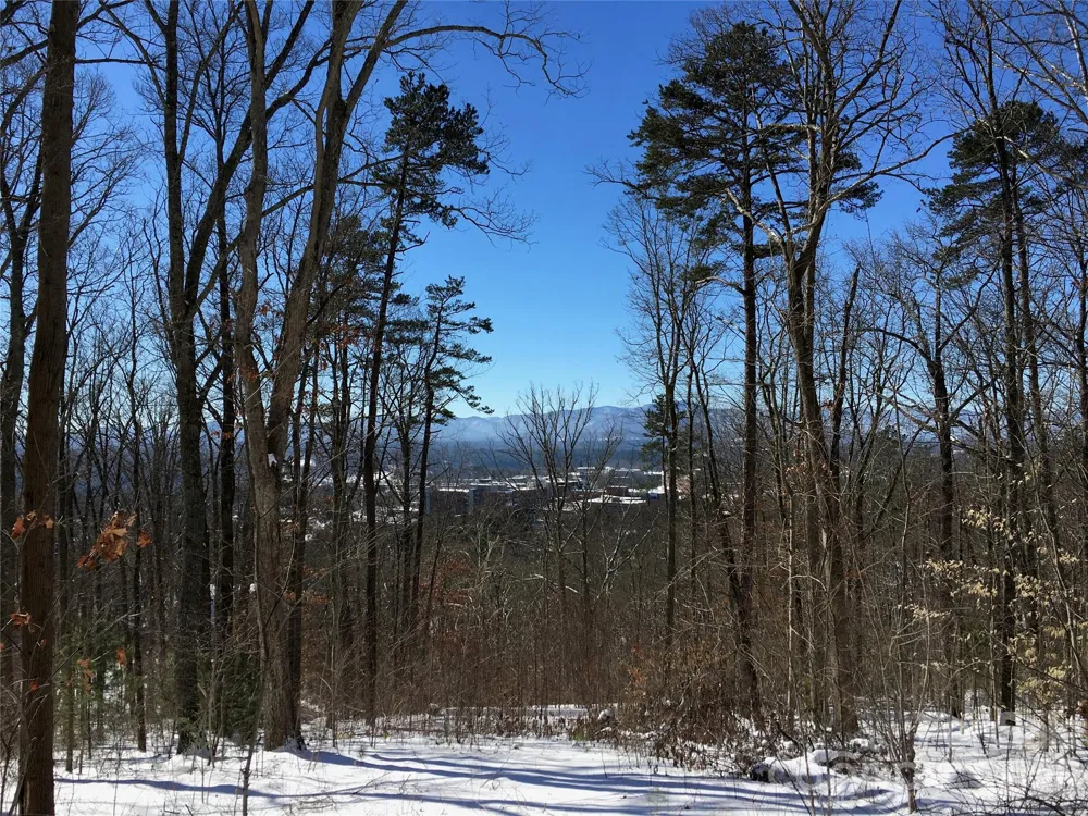 28 Samuel Ashe Drive Asheville, NC 28805