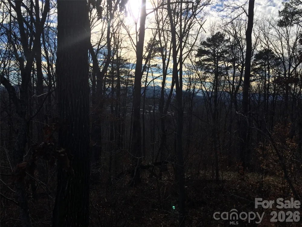 28 Samuel Ashe Drive Asheville, NC 28805