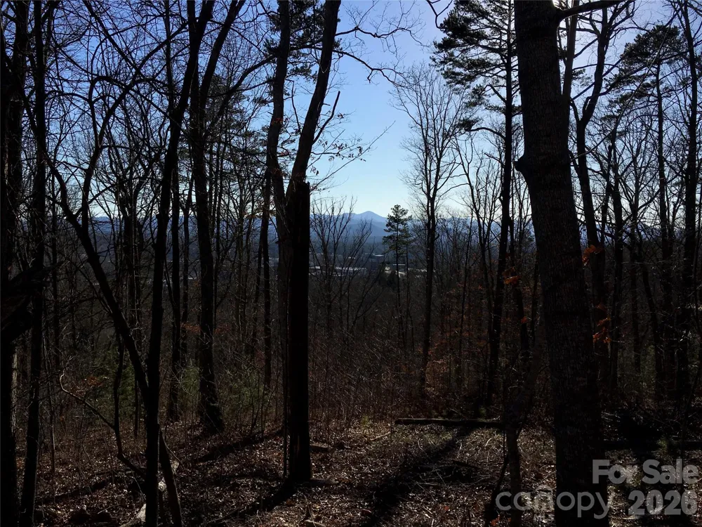 28 Samuel Ashe Drive Asheville, NC 28805