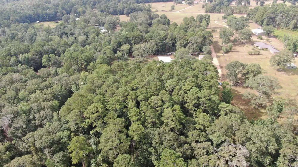 Cypress Creek Drive Coldspring, TX 77331