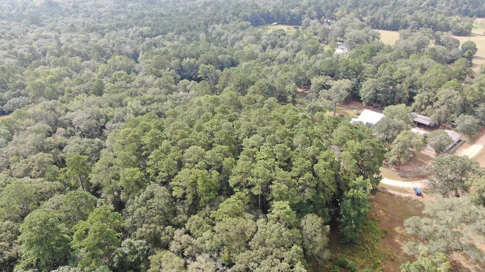 Cypress Creek Drive Coldspring, TX 77331