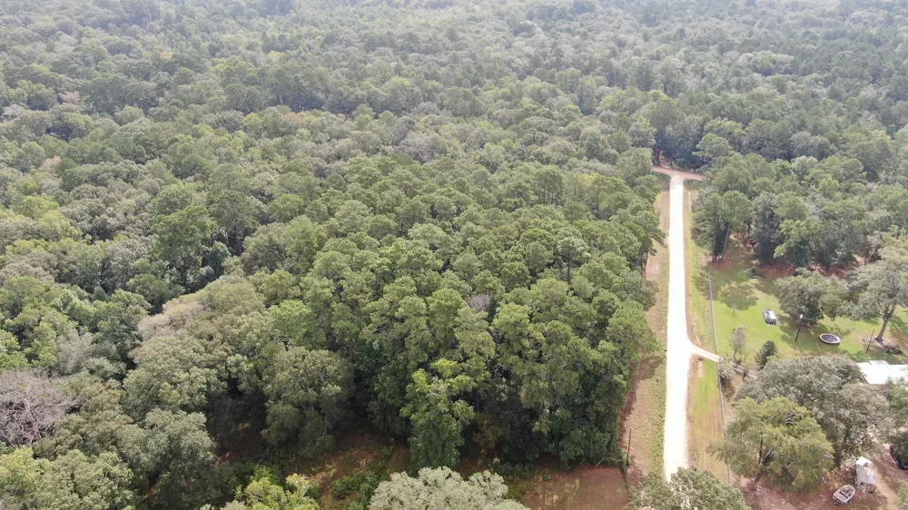 Cypress Creek Drive Coldspring, TX 77331