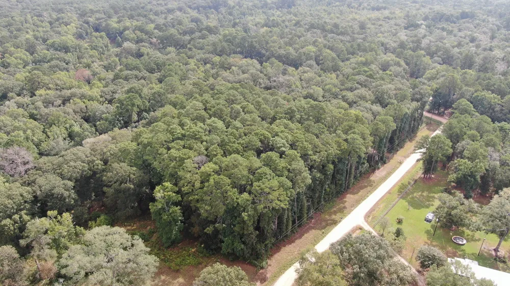 Cypress Creek Drive Coldspring, TX 77331