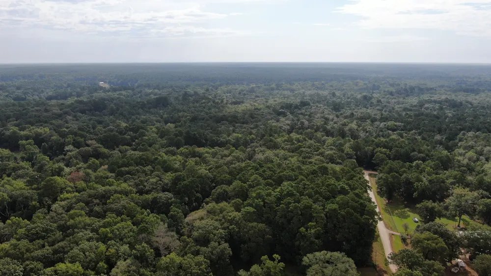 Cypress Creek Drive Coldspring, TX 77331