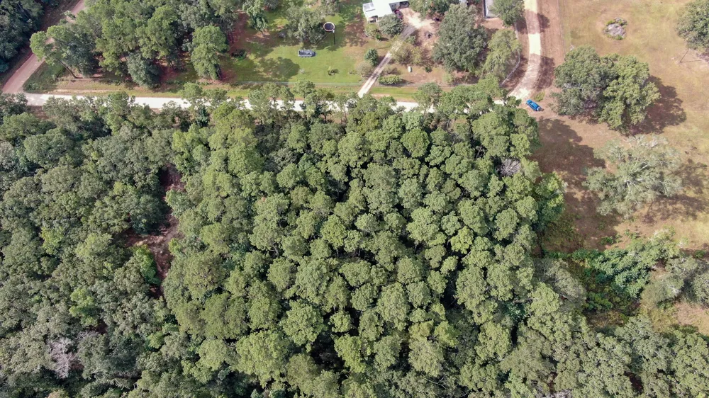 Cypress Creek Drive Coldspring, TX 77331