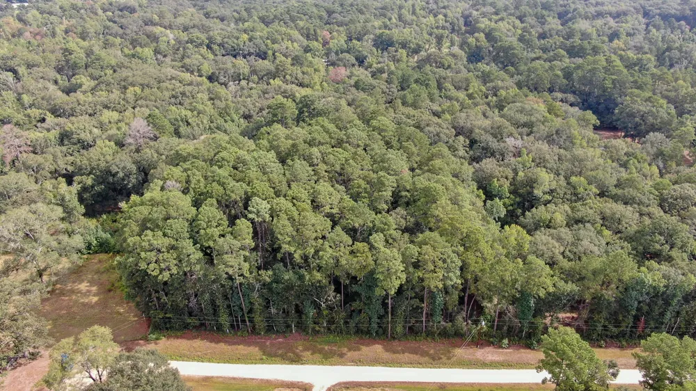 Cypress Creek Drive Coldspring, TX 77331