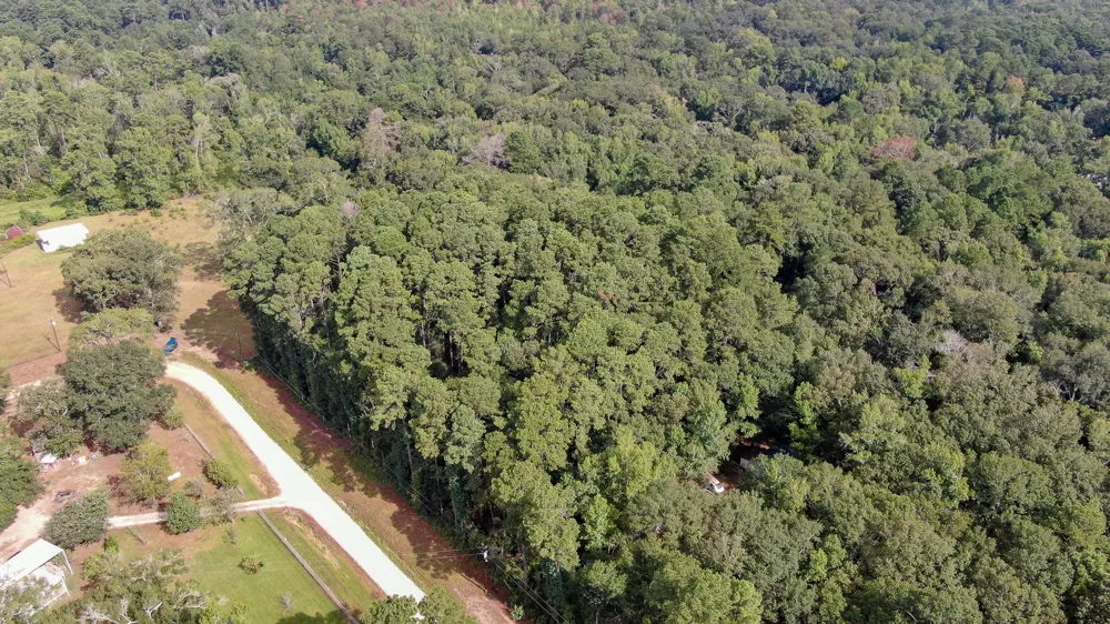 Cypress Creek Drive Coldspring, TX 77331