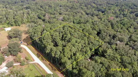 Cypress Creek Drive