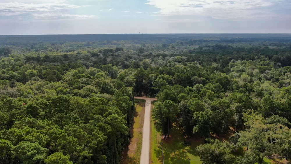 Cypress Creek Drive Coldspring, TX 77331