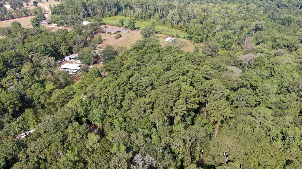 Cypress Creek Drive Coldspring, TX 77331