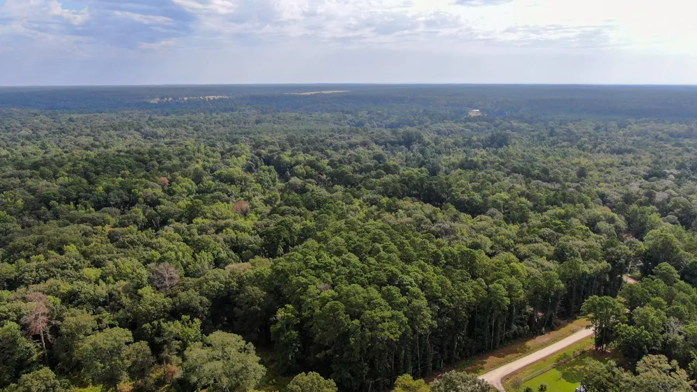 Cypress Creek Drive Coldspring, TX 77331