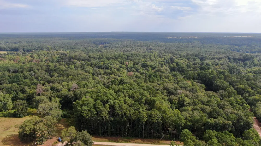 Cypress Creek Drive Coldspring, TX 77331