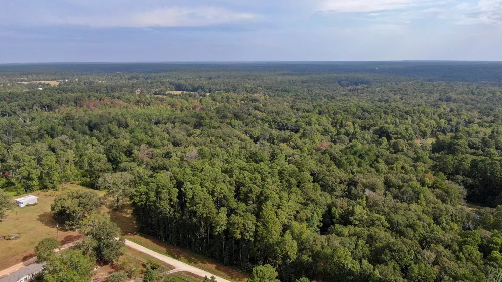 Cypress Creek Drive Coldspring, TX 77331