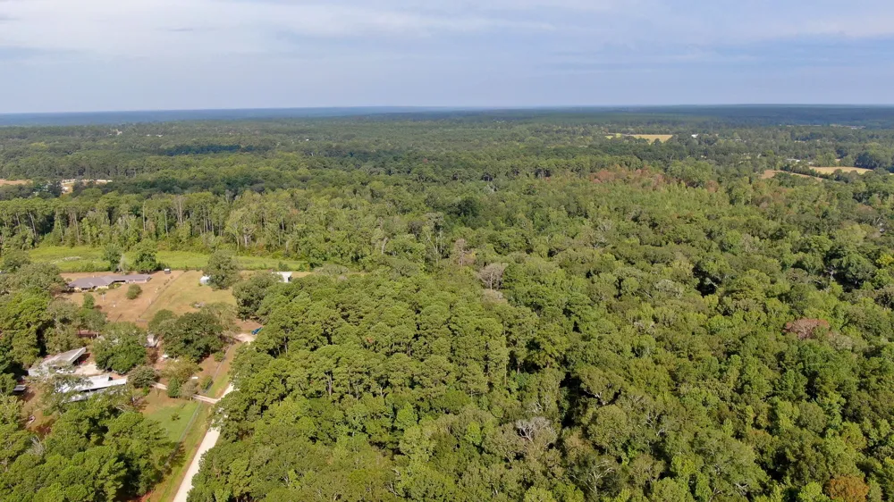 Cypress Creek Drive Coldspring, TX 77331