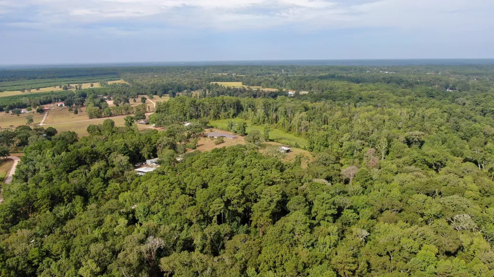Cypress Creek Drive Coldspring, TX 77331