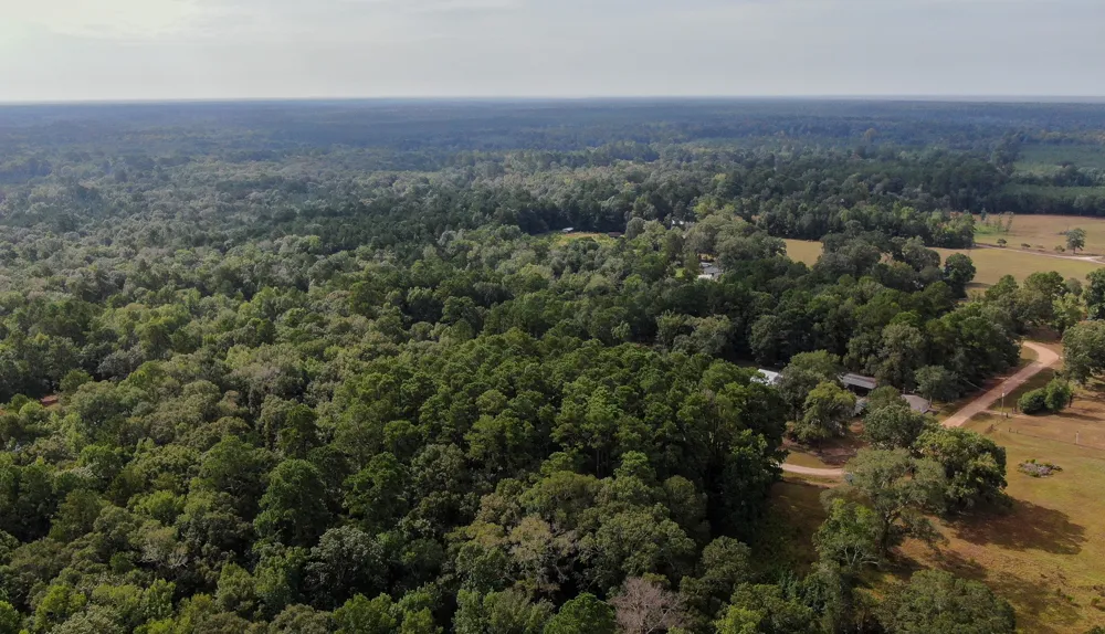 Cypress Creek Drive Coldspring, TX 77331