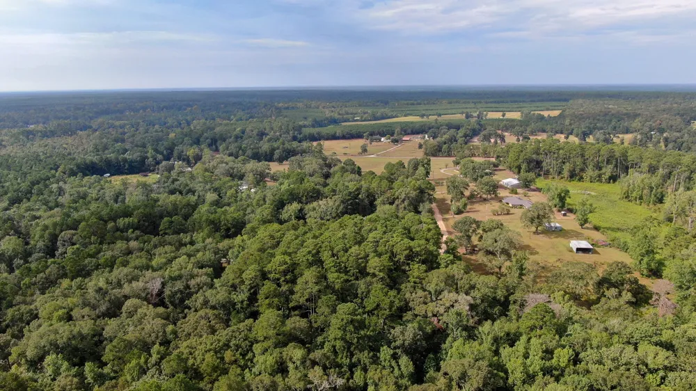 Cypress Creek Drive Coldspring, TX 77331