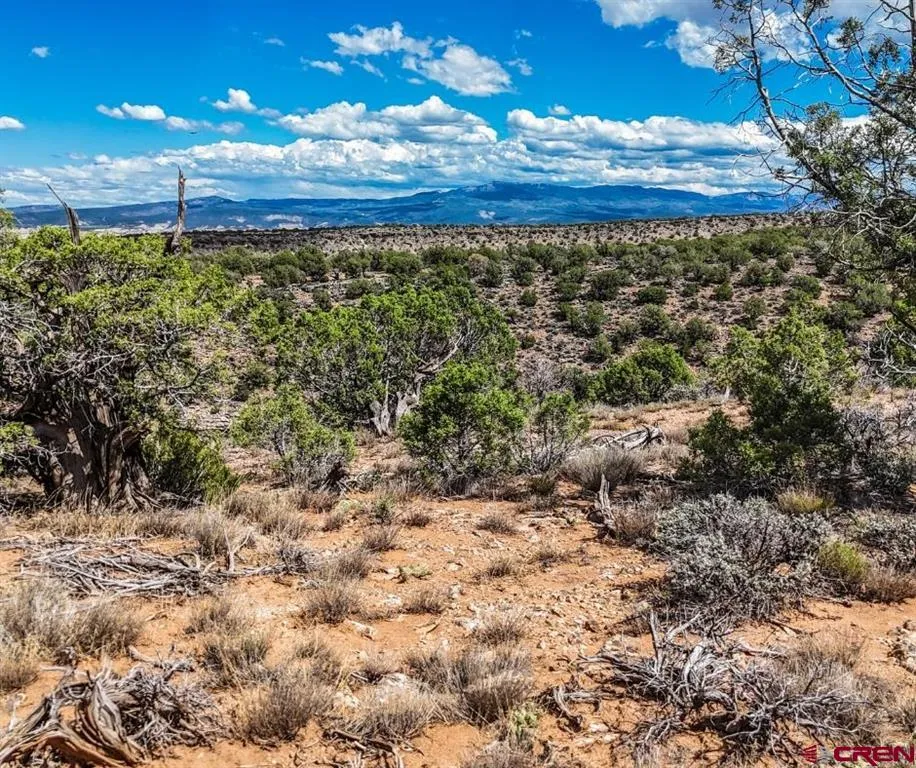 Tract 33 Beaver Hill Heights Montrose, CO 81403