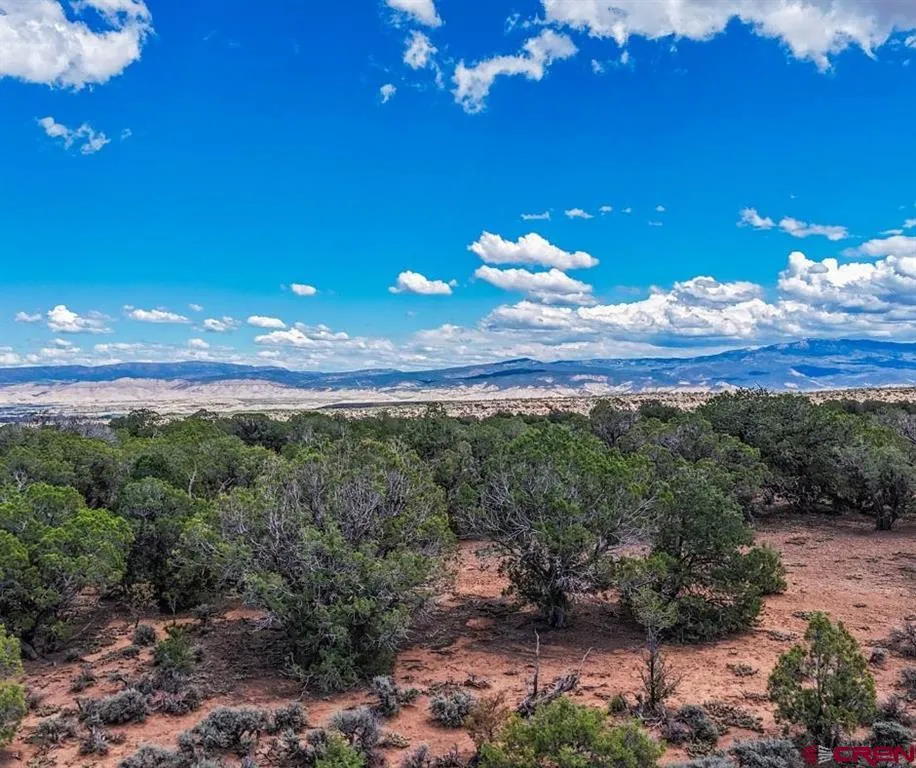Tract 33 Beaver Hill Heights Montrose, CO 81403