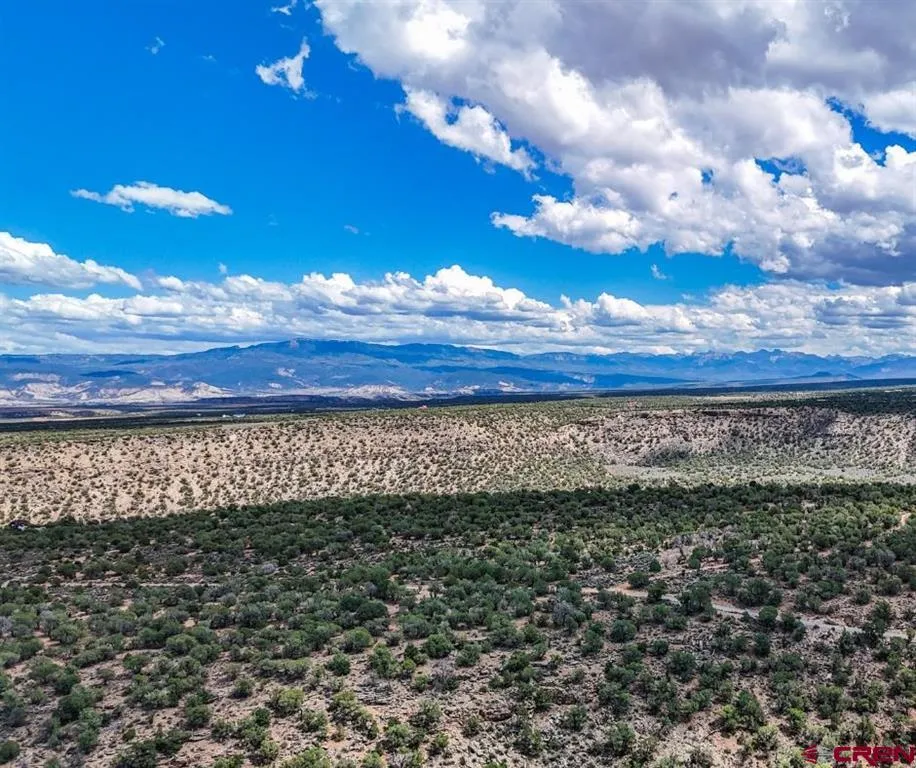 Tract 33 Beaver Hill Heights Montrose, CO 81403