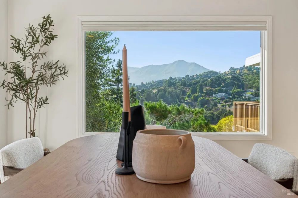 133 Shelley Drive Mill Valley, CA 94941