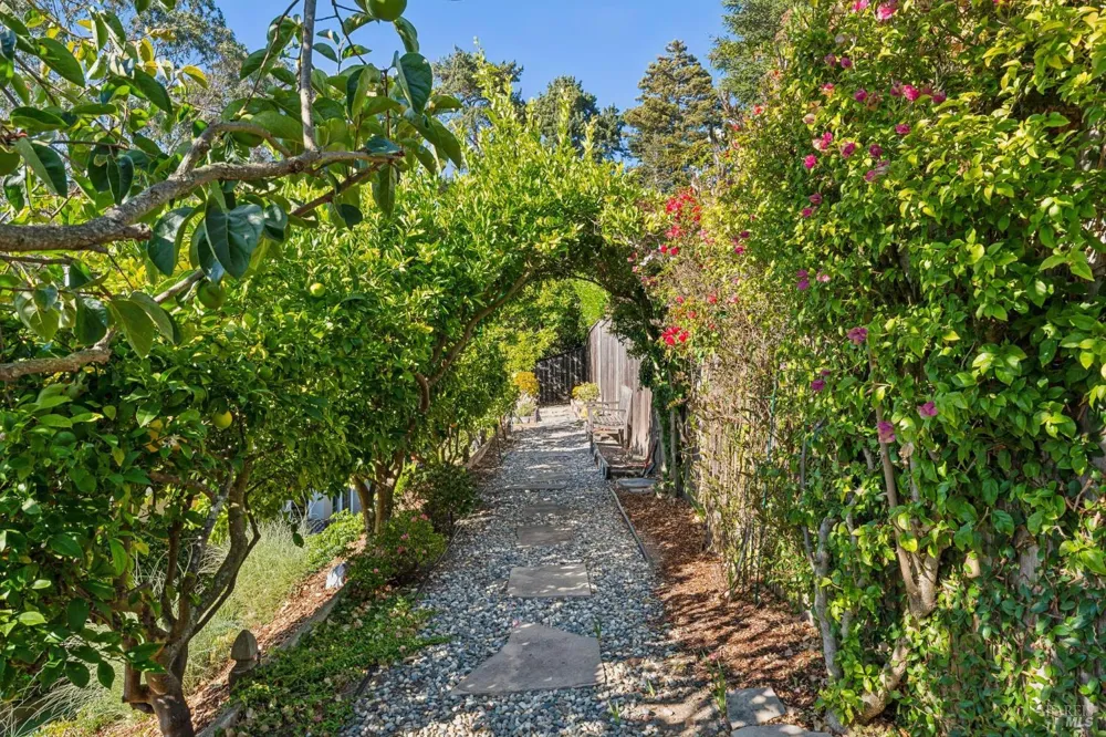133 Shelley Drive Mill Valley, CA 94941