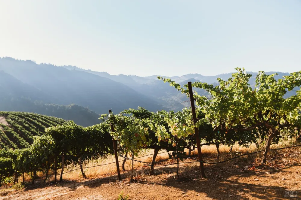 8594 St Helena Road Santa Rosa, CA 95404