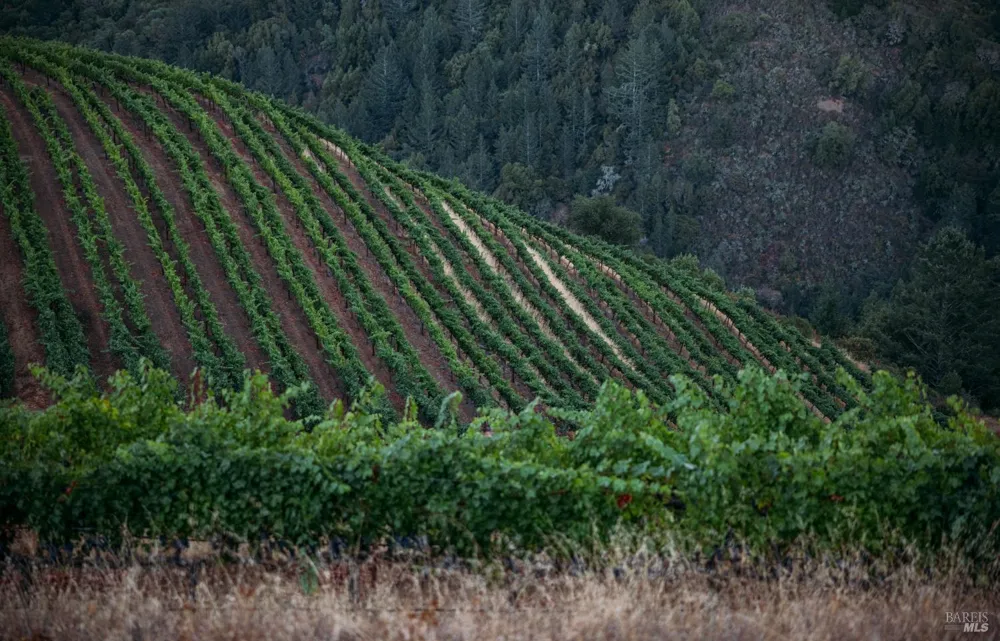 8594 St Helena Road Santa Rosa, CA 95404