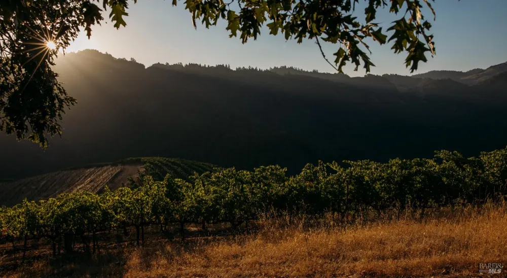 8594 St Helena Road Santa Rosa, CA 95404