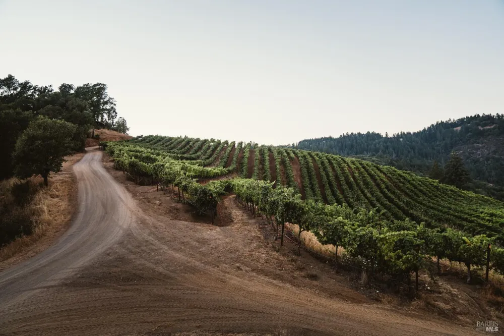 8594 St Helena Road Santa Rosa, CA 95404