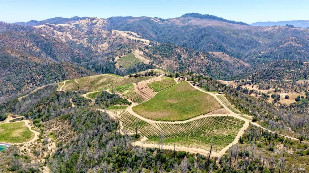 8594 St Helena Road Santa Rosa, CA 95404