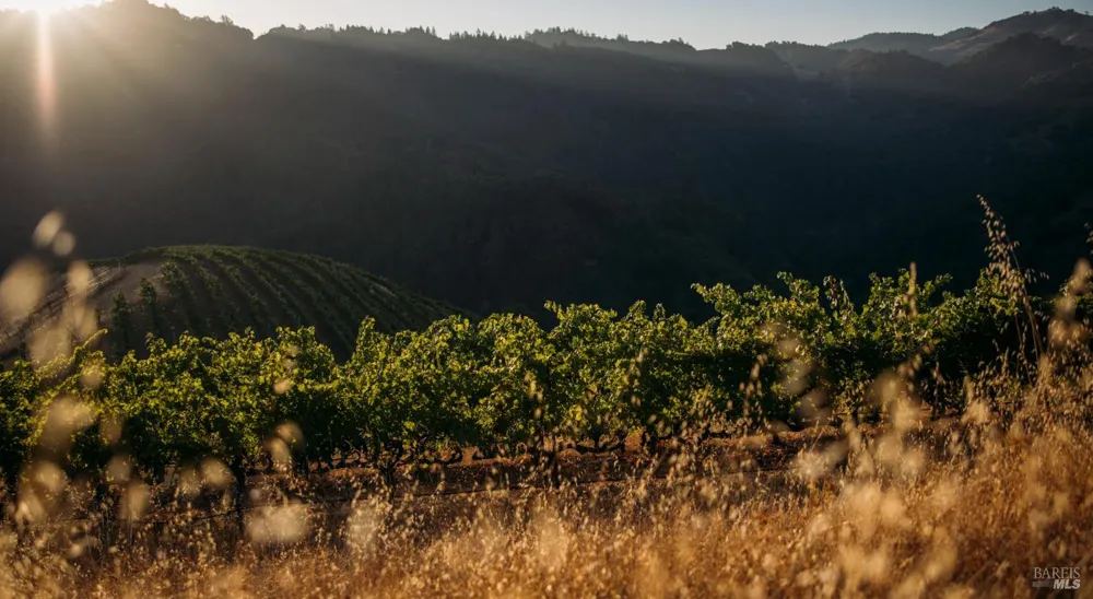 8594 St Helena Road Santa Rosa, CA 95404